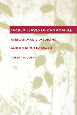 Immagine del venditore per Sacred Leaves of Candombl: African Magic, Medicine, and Religion in Brazil (Paperback or Softback) venduto da BargainBookStores