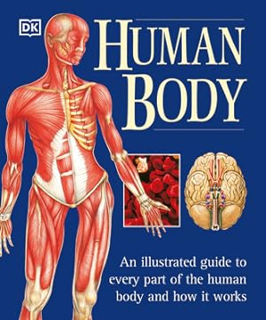 Image du vendeur pour The Human Body (Paperback or Softback) mis en vente par BargainBookStores