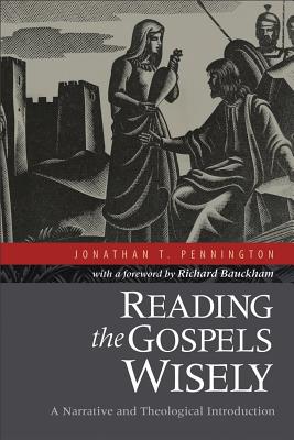 Seller image for Reading the Gospels Wisely: A Narrative and Theological Introduction (Paperback or Softback) for sale by BargainBookStores