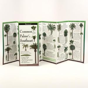 Bild des Verkufers fr Common Palms of the Southeast & Texas (Poster) zum Verkauf von BargainBookStores