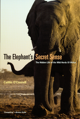 Image du vendeur pour The Elephant's Secret Sense: The Hidden Life of the Wild Herds of Africa (Paperback or Softback) mis en vente par BargainBookStores