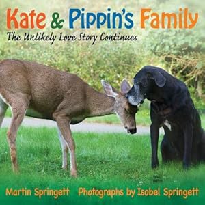 Seller image for Kate & Pippin's Family: The Unlikely Love Story Continues (Paperback or Softback) for sale by BargainBookStores
