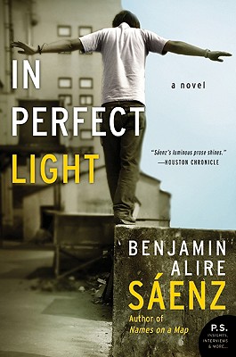 Seller image for In Perfect Light (Paperback or Softback) for sale by BargainBookStores