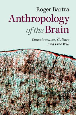 Immagine del venditore per Anthropology of the Brain: Consciousness, Culture, and Free Will (Paperback or Softback) venduto da BargainBookStores