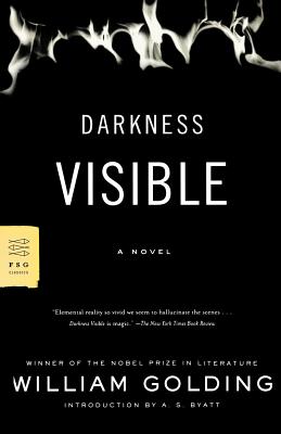 Seller image for Darkness Visible (Paperback or Softback) for sale by BargainBookStores
