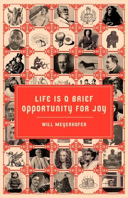 Bild des Verkufers fr Life Is a Brief Opportunity for Joy (Paperback or Softback) zum Verkauf von BargainBookStores