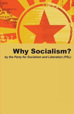 Bild des Verkufers fr Why Socialism? (Paperback or Softback) zum Verkauf von BargainBookStores