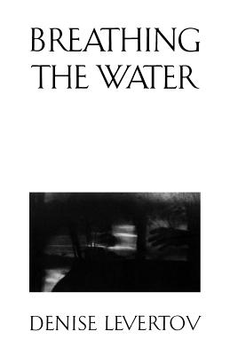 Seller image for Breathing the Water (Paperback or Softback) for sale by BargainBookStores