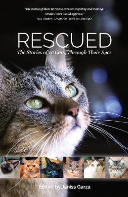 Seller image for Rescued: The Stories of 12 Cats, Through Their Eyes (Paperback or Softback) for sale by BargainBookStores