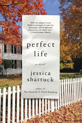 Seller image for Perfect Life (Paperback or Softback) for sale by BargainBookStores