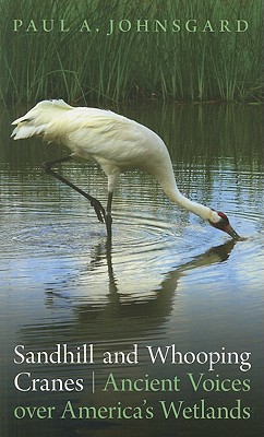 Seller image for Sandhill and Whooping Cranes: Ancient Voices Over America's Wetlands (Paperback or Softback) for sale by BargainBookStores
