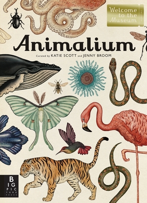 Immagine del venditore per Animalium: Welcome to the Museum (Hardback or Cased Book) venduto da BargainBookStores