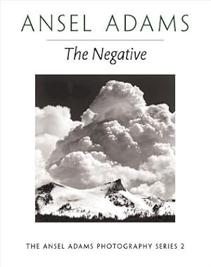 Seller image for The Negative (Paperback or Softback) for sale by BargainBookStores