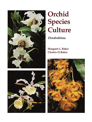 Seller image for Orchid Species Culture: Dendrobium (Paperback or Softback) for sale by BargainBookStores