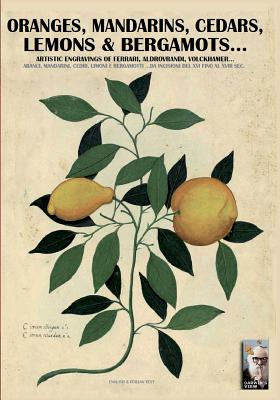 Seller image for Oranges, Mandarins, Cedars, Lemons & Bergamots.: Artistic Engravings of Ferrari, Aldrovrandi, Volckhamer. (Paperback or Softback) for sale by BargainBookStores