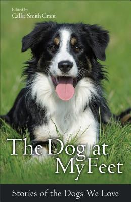 Seller image for The Dog at My Feet: Stories of the Dogs We Love (Paperback or Softback) for sale by BargainBookStores