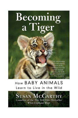 Seller image for Becoming a Tiger: How Baby Animals Learn to Live in the Wild (Paperback or Softback) for sale by BargainBookStores