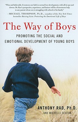 Imagen del vendedor de The Way of Boys: Promoting the Social and Emotional Development of Young Boys (Paperback or Softback) a la venta por BargainBookStores