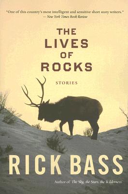 Seller image for The Lives of Rocks (Paperback or Softback) for sale by BargainBookStores