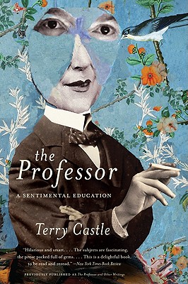 Imagen del vendedor de The Professor: A Sentimental Education (Paperback or Softback) a la venta por BargainBookStores