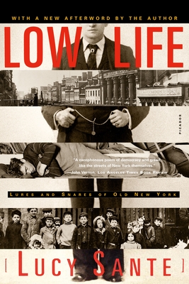 Imagen del vendedor de Low Life: Lures and Snares of Old New York (Paperback or Softback) a la venta por BargainBookStores