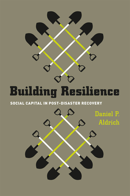 Seller image for Building Resilience: Social Capital in Post-Disaster Recovery (Paperback or Softback) for sale by BargainBookStores