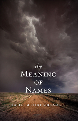 Bild des Verkufers fr The Meaning of Names (Paperback or Softback) zum Verkauf von BargainBookStores