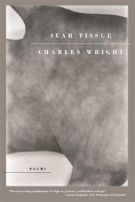 Immagine del venditore per Scar Tissue (Paperback or Softback) venduto da BargainBookStores