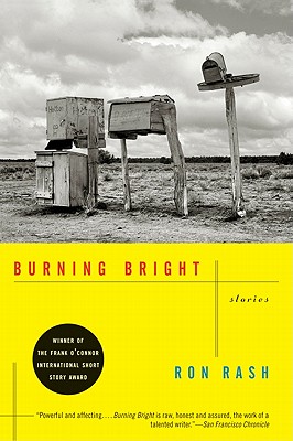 Seller image for Burning Bright: Stories (Paperback or Softback) for sale by BargainBookStores