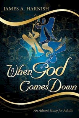 Imagen del vendedor de When God Comes Down: An Advent Study for Adults (Paperback or Softback) a la venta por BargainBookStores