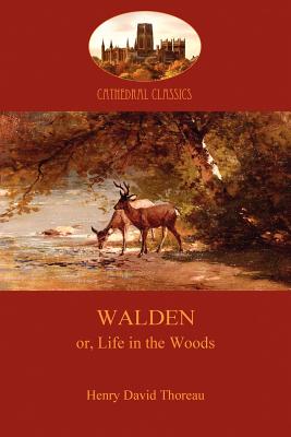 Seller image for Walden (Paperback or Softback) for sale by BargainBookStores