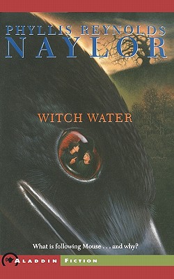 Seller image for Witch Water (Paperback or Softback) for sale by BargainBookStores