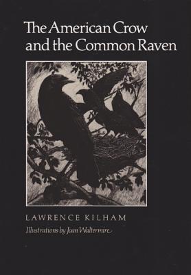 Seller image for The American Crow & Common Raven (Paperback or Softback) for sale by BargainBookStores