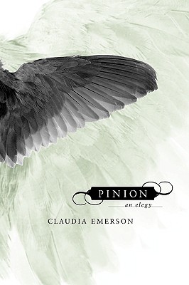 Bild des Verkufers fr Pinion: An Elegy (Paperback or Softback) zum Verkauf von BargainBookStores