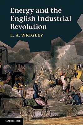 Imagen del vendedor de Energy and the English Industrial Revolution (Paperback or Softback) a la venta por BargainBookStores