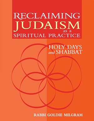 Seller image for Reclaiming Judaism as a Spiritual Practice: Holy Days and Shabbat (Hardback or Cased Book) for sale by BargainBookStores