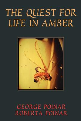 Imagen del vendedor de Quest for Life in Amber (Paperback or Softback) a la venta por BargainBookStores
