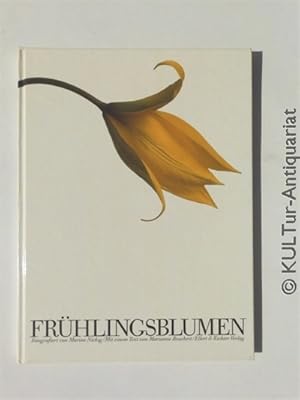 Frühlingsblumen.