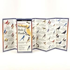 Bild des Verkufers fr Sibley's Backyard Birds of Florida (Poster) zum Verkauf von BargainBookStores