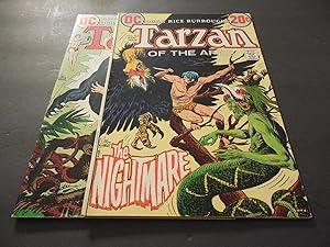 2 Iss Tarzan Of The Apes #213-214 1972 Bronze Age DC Comic Joe Kubert
