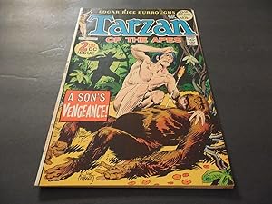 Tarzan Of The Apes #208 May 1972 Bronze Age DC Comics Joe Kubert