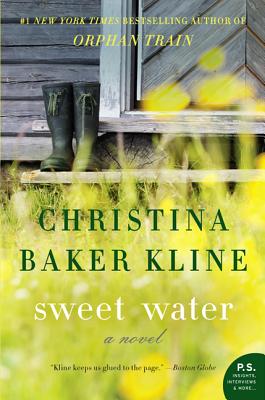 Seller image for Sweet Water (Paperback or Softback) for sale by BargainBookStores