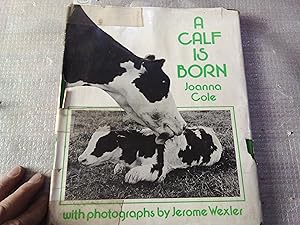 Imagen del vendedor de A calf is born a la venta por Librera "Franz Kafka" Mxico.