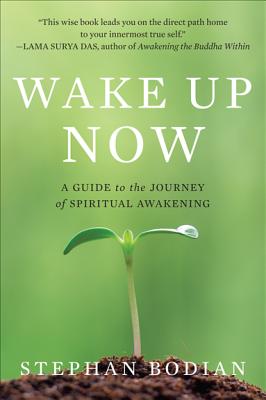 Seller image for Wake Up Now (Paperback or Softback) for sale by BargainBookStores