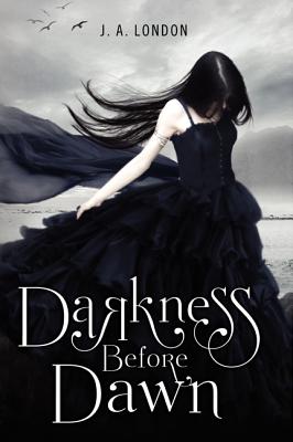 Seller image for Darkness Before Dawn (Paperback or Softback) for sale by BargainBookStores
