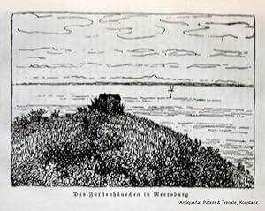 Image du vendeur pour Das Schlofrulein von Meersburg. Die Tage der Droste am Bodensee. Konstanz, Reu & Itta, 1935. Mit 3 Illustrationen. 79 S. Or.-Hlwd.; Rnder etwas stockfleckig. - Vorstze braunfleckig. mis en vente par Jrgen Patzer