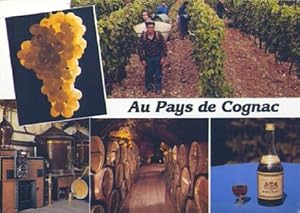 Seller image for POSTAL 57652: Au Pays de Cognac for sale by EL BOLETIN