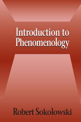Imagen del vendedor de Introduction to Phenomenology (Paperback or Softback) a la venta por BargainBookStores