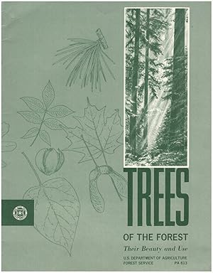 Trees of the Forest: Their Beauty and Use (PA 613)