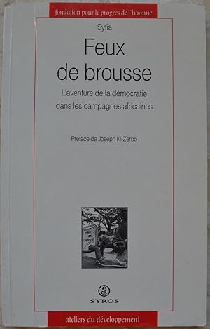 Feux de brousse. L'aventure de la démocratie dans les campagnes africaines.